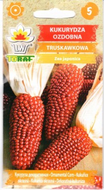 tr1569.jpg