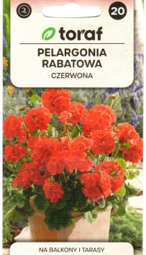tr0419.jpg
