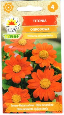 tr7981.jpg