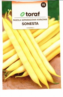 Sonesta.jpg