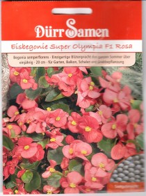 d1107.jpg